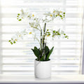 Artificial Orchid Arrangement In Ceramic Pot Home Decor Ornament