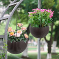 Self-Watering Hanging Planter with Water Indicator