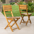 Outdoor Acacia Wood Folding Dining Chair Set Of 2 ,Natural