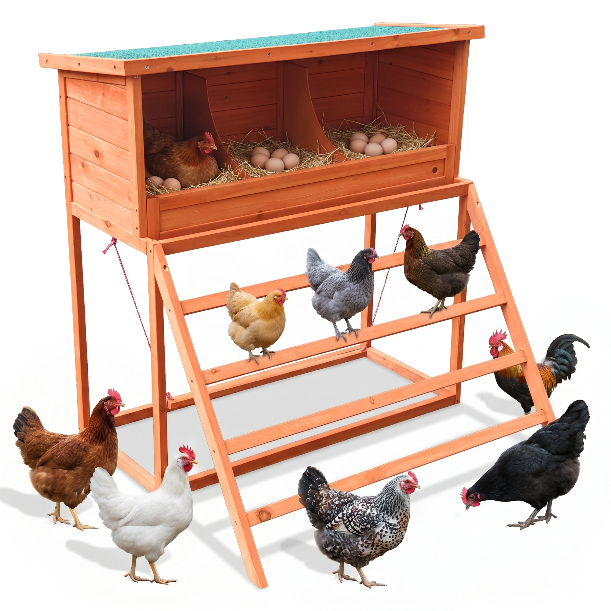 3-in-1 Nesting Boxes For Chickens With Perch And Swing- Wooden Chicken