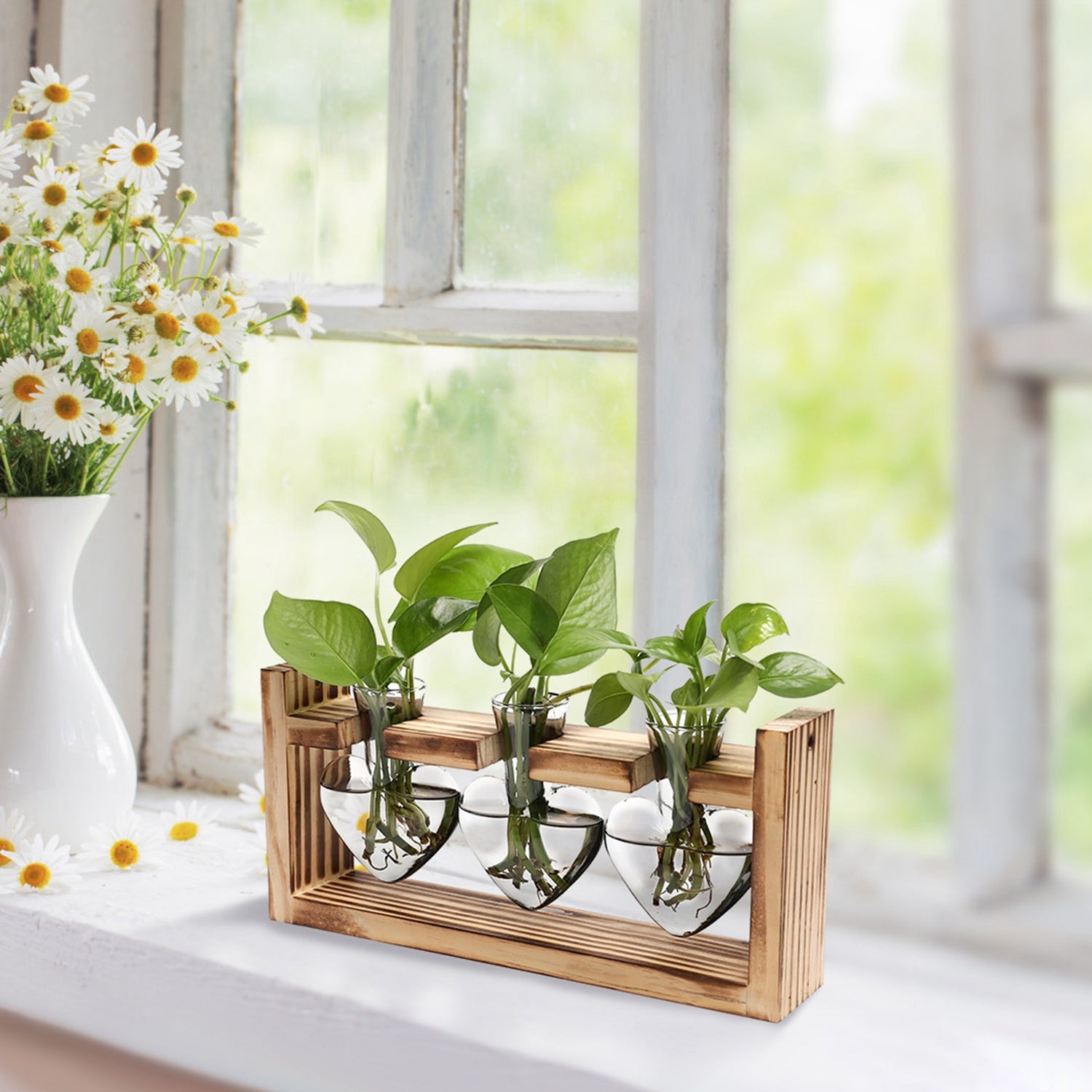 Plant Propagation Station with Heart-Shaped Vases