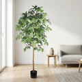 6FT Artificial Ficus Tree with Natural Trunk in Black Plastic Pot for