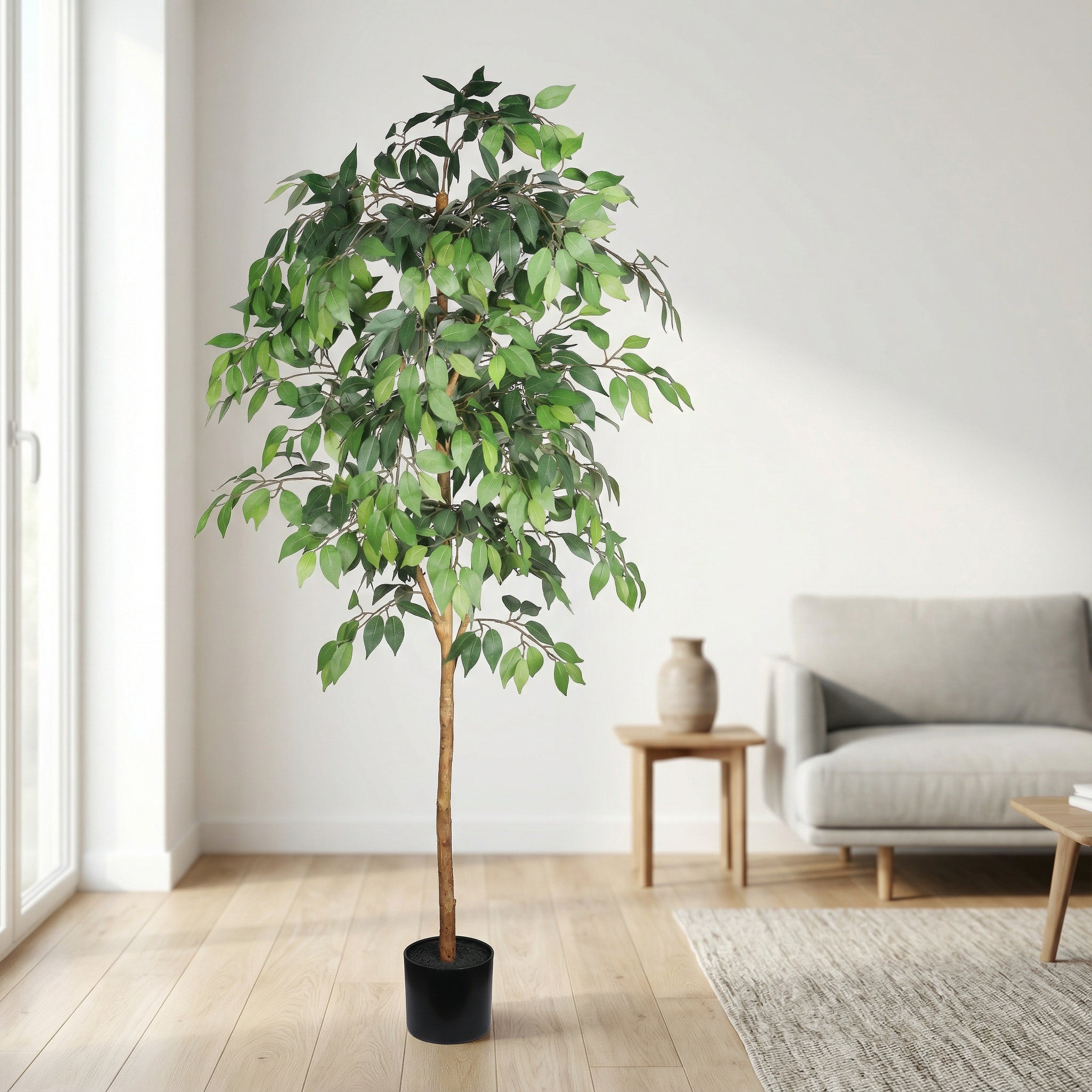 6FT Artificial Ficus Tree with Natural Trunk in Black Plastic Pot for